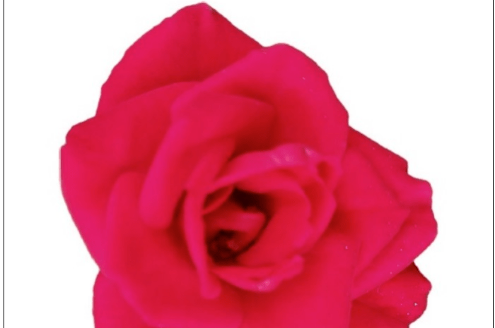 ‘Ab radice (II). El día que morimos las dos. Los brotes rojos’, de Cristina Arribas González