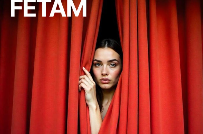 VI Premio de textos teatrales de FETAM 2026
