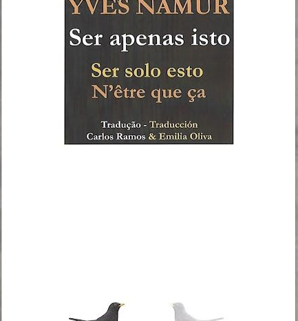 ‘Ser solo esto’, de Yves Namur