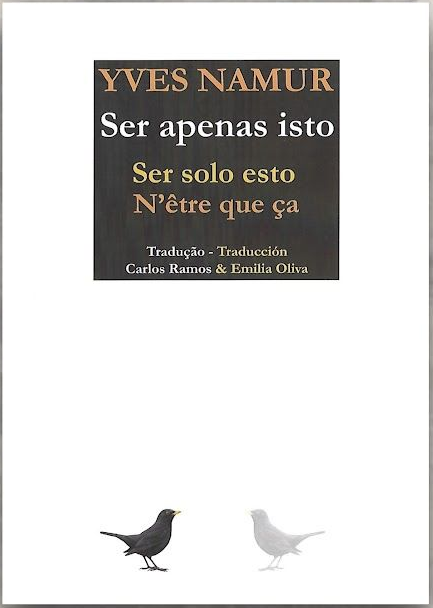 ‘Ser solo esto’, de Yves Nemur