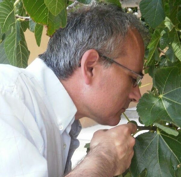 Antonio Costa Gómez