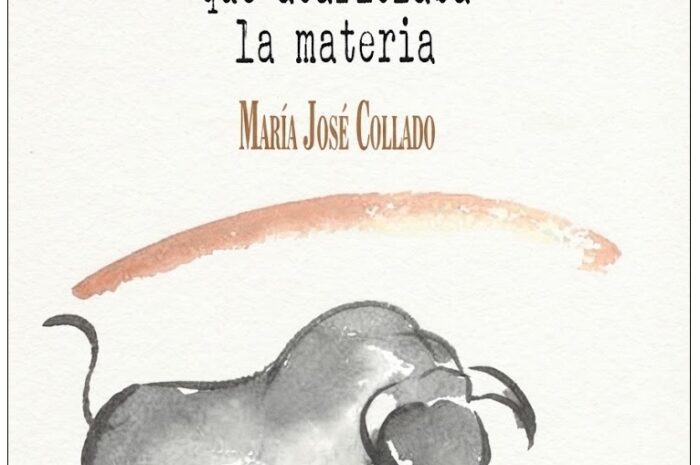 ‘El toro que acariciaba la materia’, de María José Collado