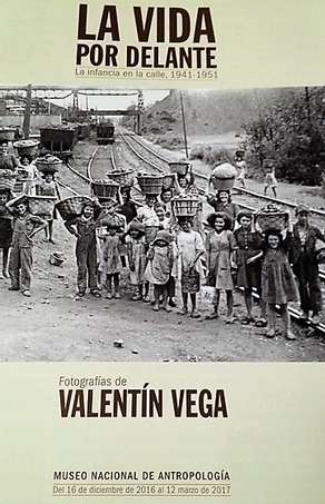 cartel vega