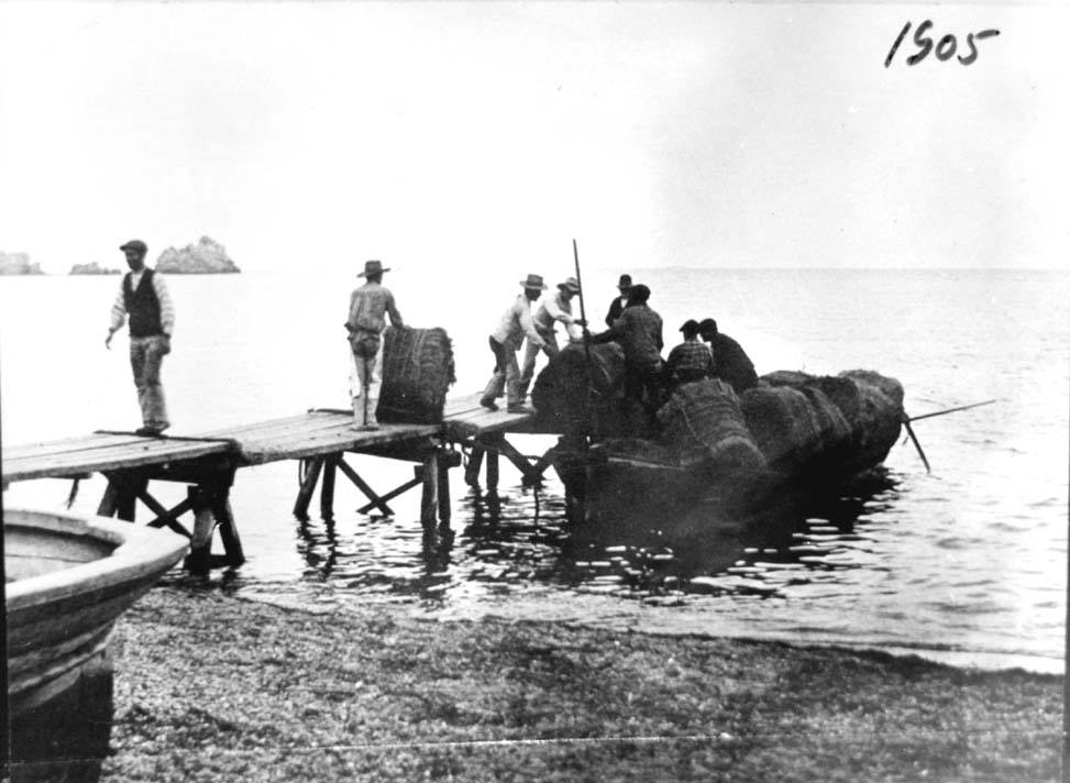 Embarque de balas de esparto en una gabarra