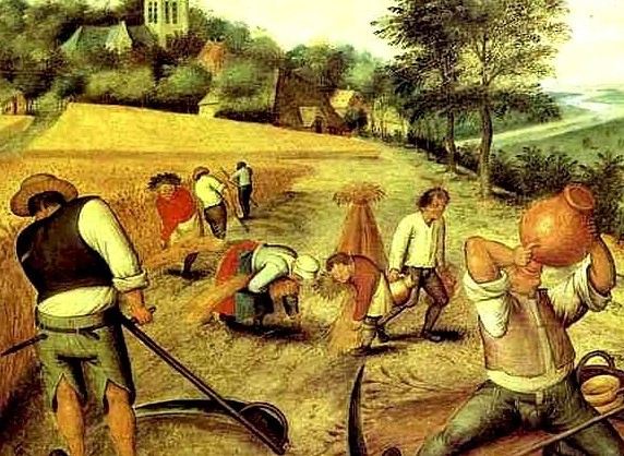 La enseñanza de la agricultura dentro de la revolución agrícola en la Ilustración española